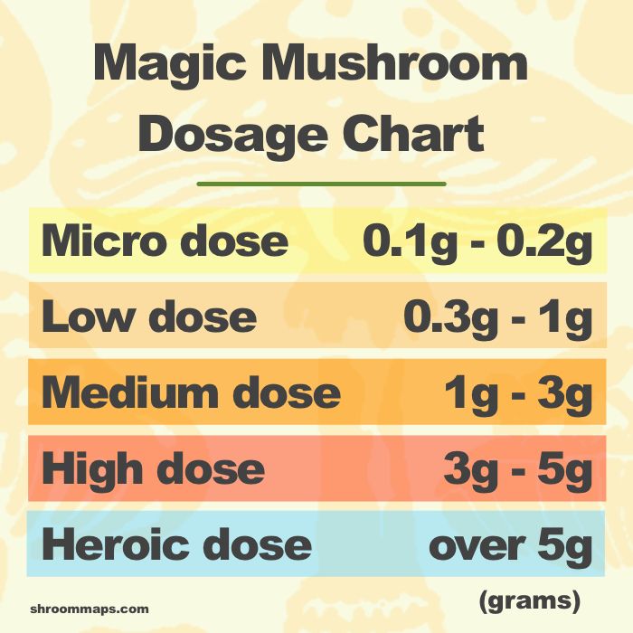 How To Enjoy Psilocybin Magic Mushrooms: Intro to Shrooms, Dosages, Intent, Experience