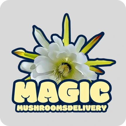 Magic Mushrooms Delivery